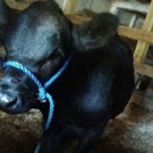 Meet your Posher, Chloe